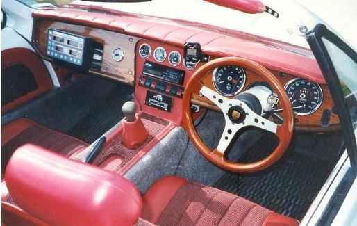 Cheetah interior